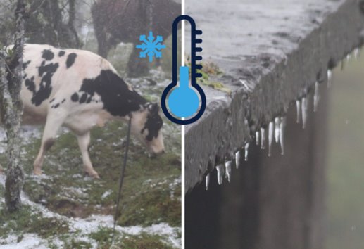 Temperatura en Miahuatlán cayó a 5°C; amanece bajo nieve 