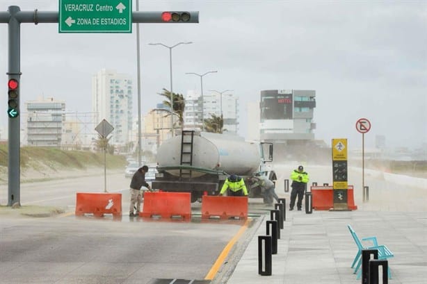 Fuerte norte derribó 13 árboles y 13 postes en Boca del Río: Protección Civil