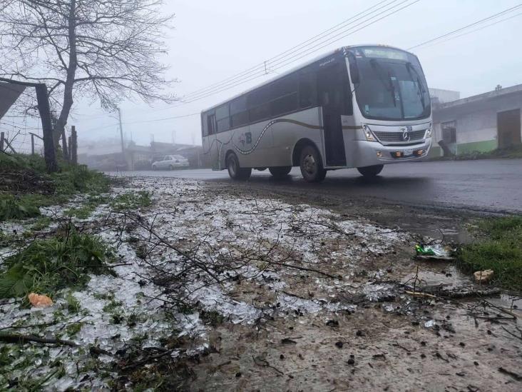 Helada histórica paraliza Chiconquiaco; frío extremo y cortes de servicios básicos