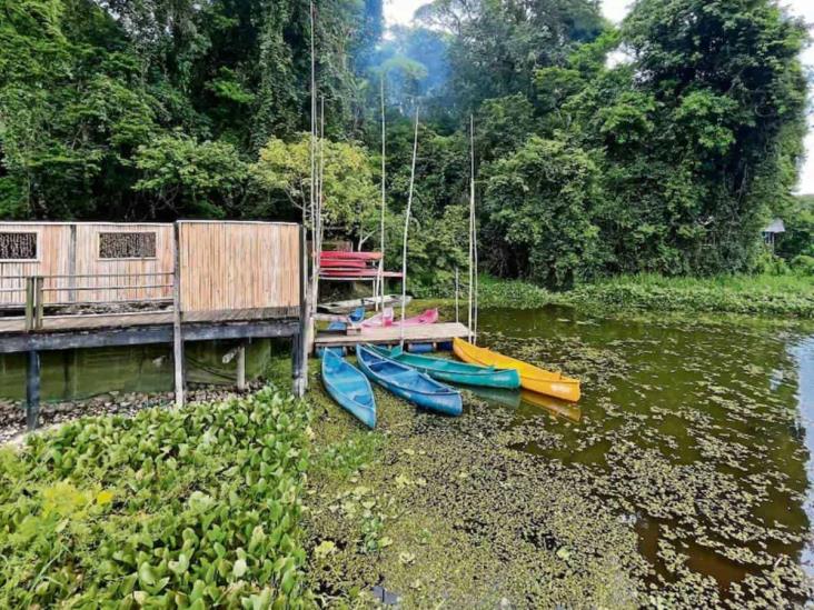 Paraíso prehispánico con selva, Nanciyaga te espera en Veracruz