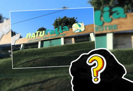 ¡Enorme habitante llega a Naturalia Xalapa!: ¿De qué especie se trata?