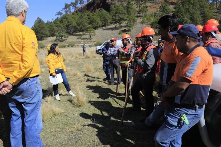 Veracruz refuerza medidas preventivas y legales contra incendios forestales