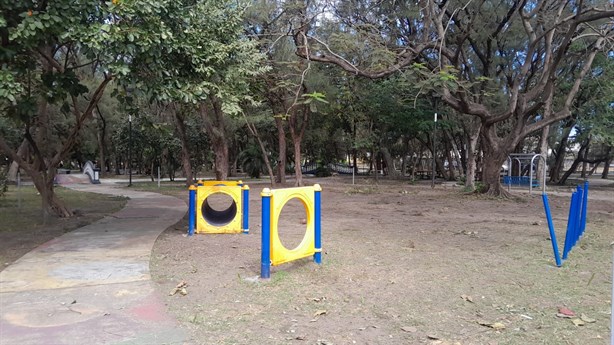 Falsa alerta de balacera en Veracruz moviliza a cuerpos de seguridad en escuela