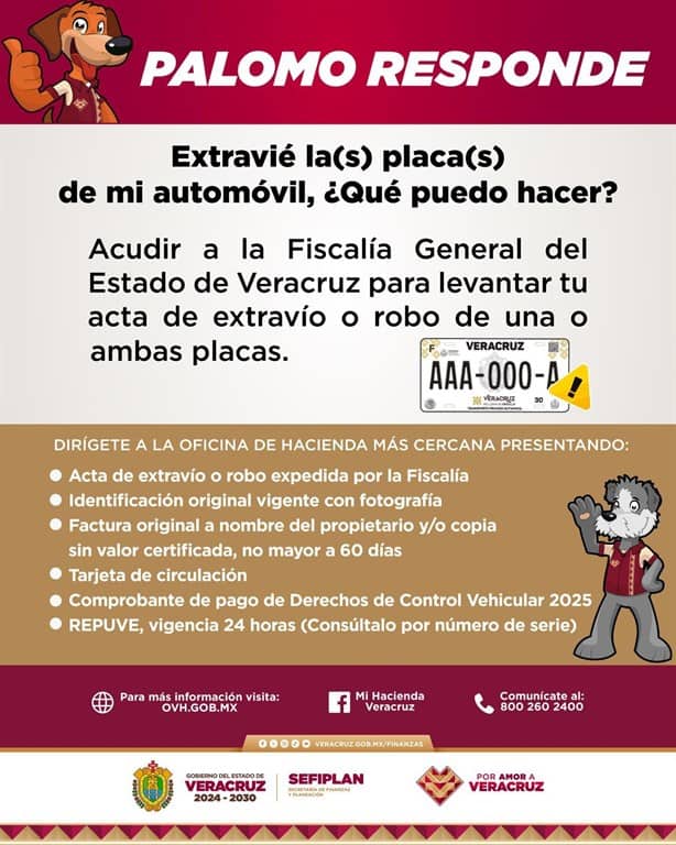 ¿Extraviaste o te robaron tus placas en Veracruz? Así puedes solicitar una reposición