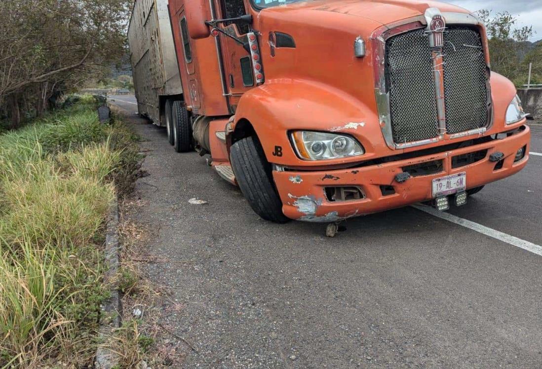 Tráiler se accidenta en Actopan, estuvo a punto de volcar con todo y ganado