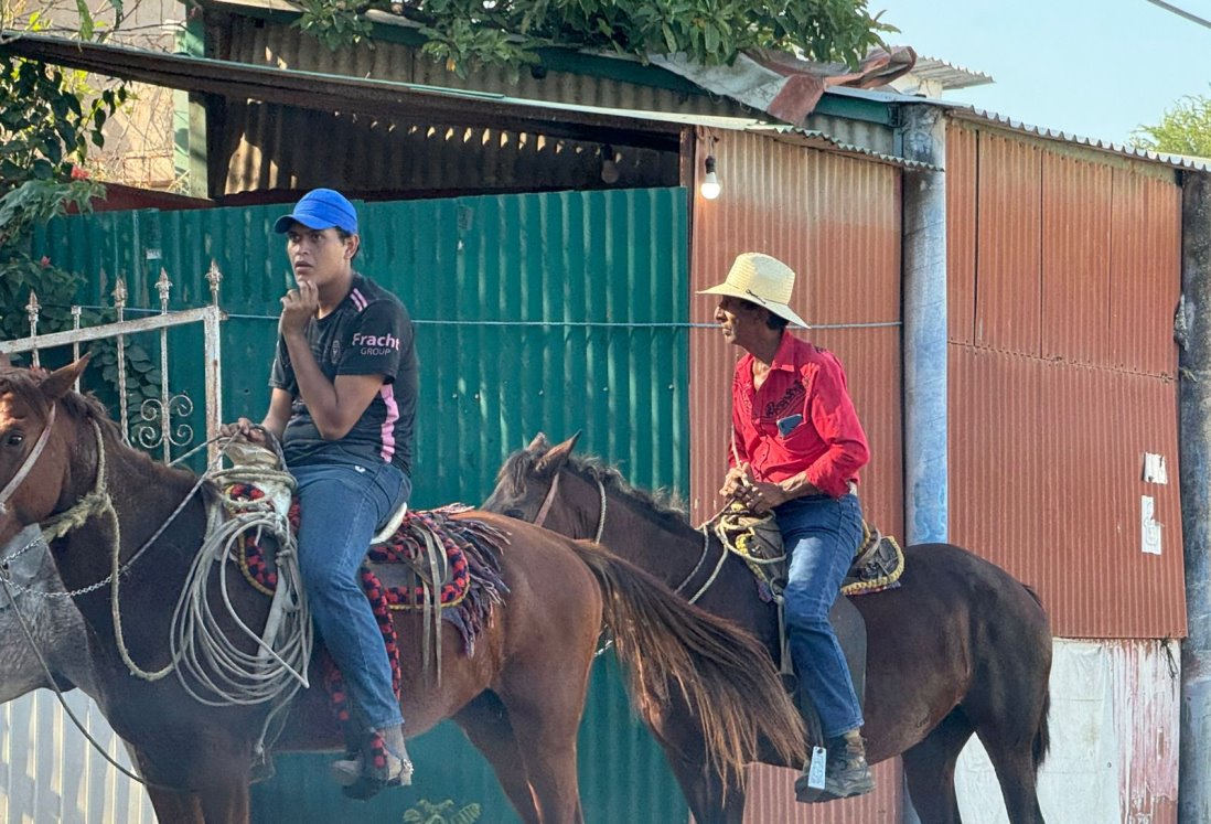 Disminuye maltrato y robo de caballos en Veracruz