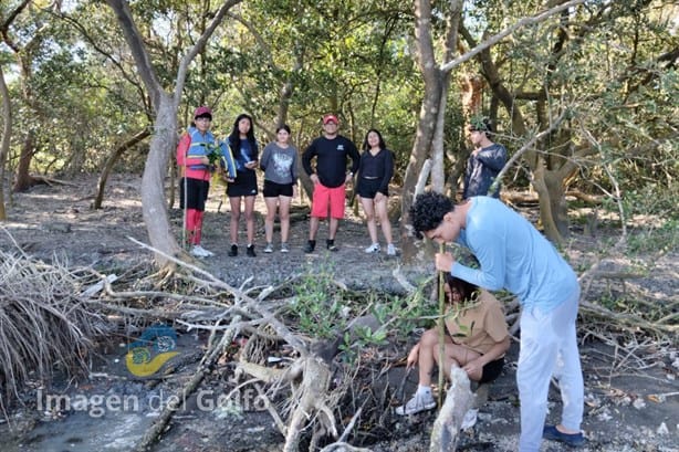 Alumnos del Cetmar seguirán contribuyendo a restaurar el ecosistema veracruzano