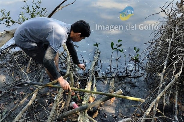 Alumnos del Cetmar seguirán contribuyendo a restaurar el ecosistema veracruzano