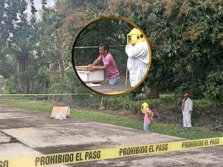 ¡Vaya susto! Panal de abejas pone en alerta a secundaria de Misantla