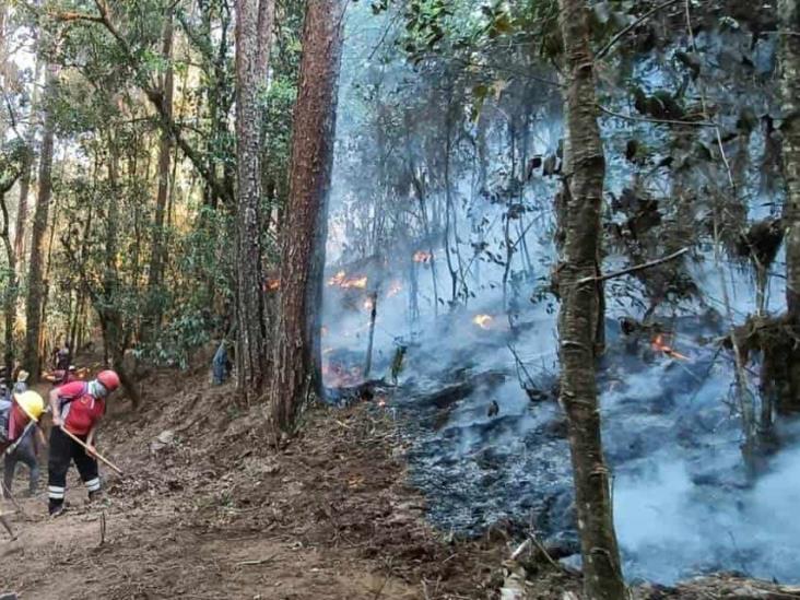 Brigadistas se preparan para atacar incendios forestales en Cofre de Perote