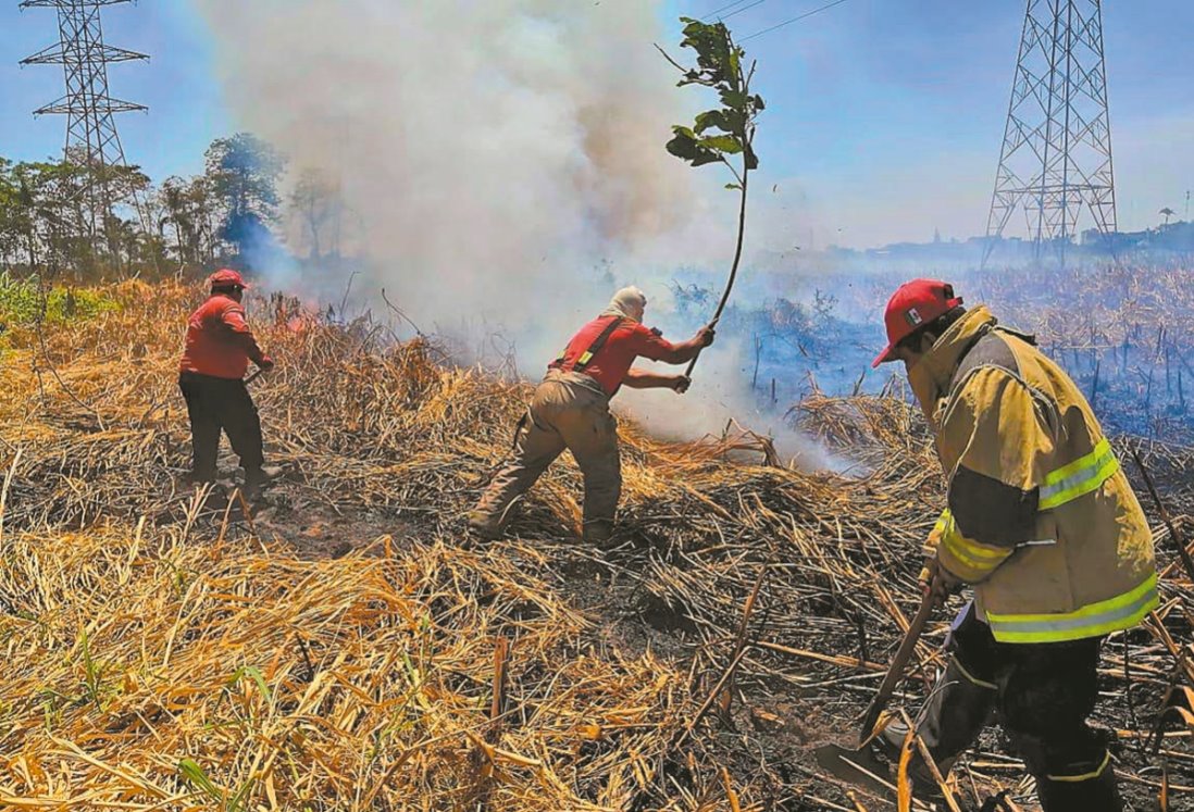 5 recomendaciones para evitar incendios forestales en Veracruz ¿Cuáles son las principales causas?