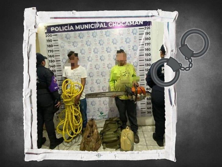 Detienen a dos por tala ilegal en la comunidad de Calaquioco, Chocamán