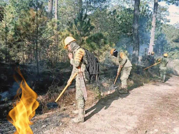 En zona de Perote, incendios intencionales afectan ya bosque de Veracruz este 2025