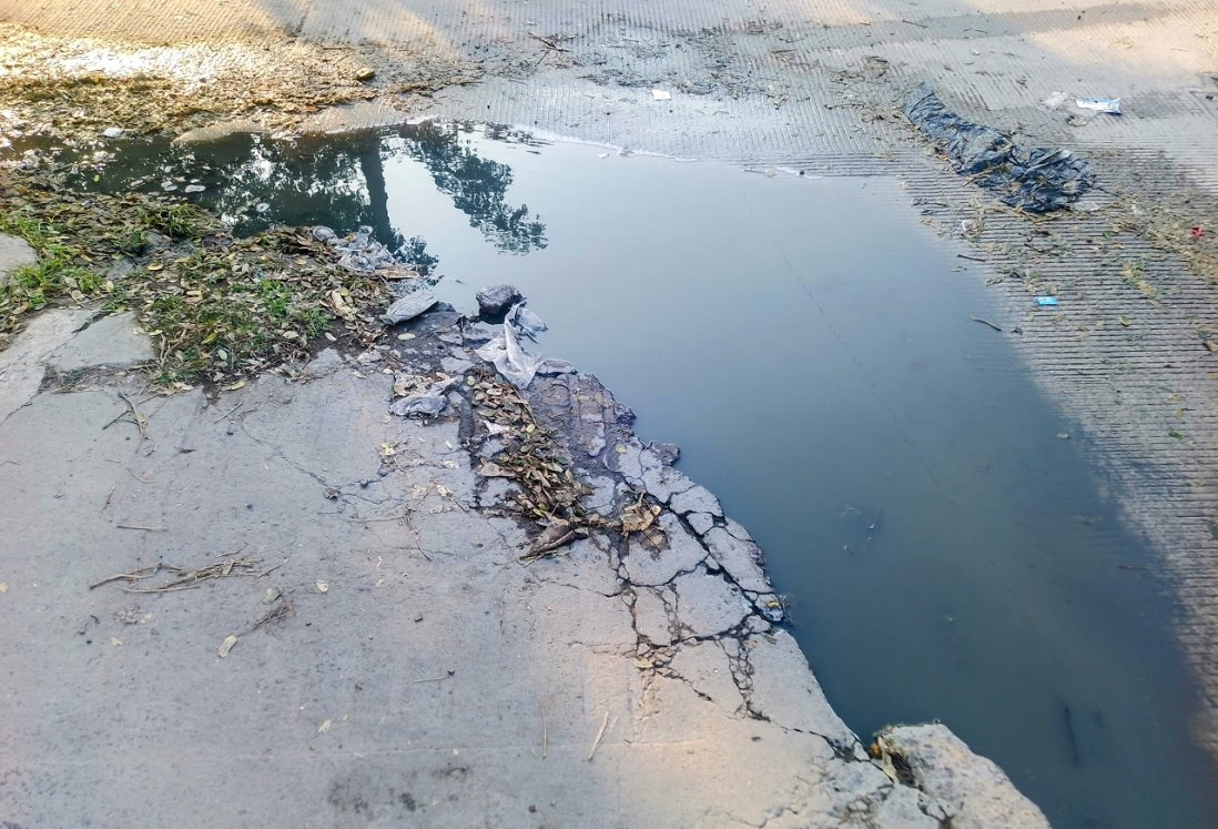 Vecinos de Puente Moreno denuncian charcos de agua negras