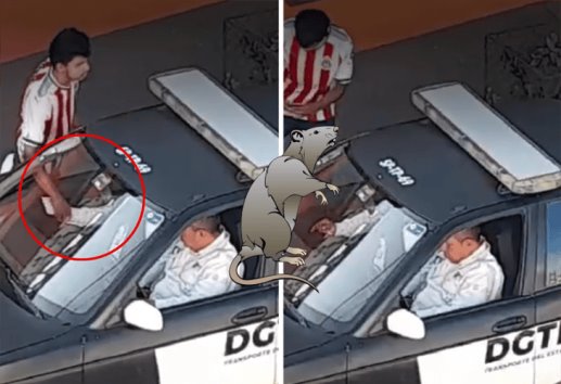 ¡Indignante! Captan a elementos de Transporte Público recibiendo soborno en Xalapa