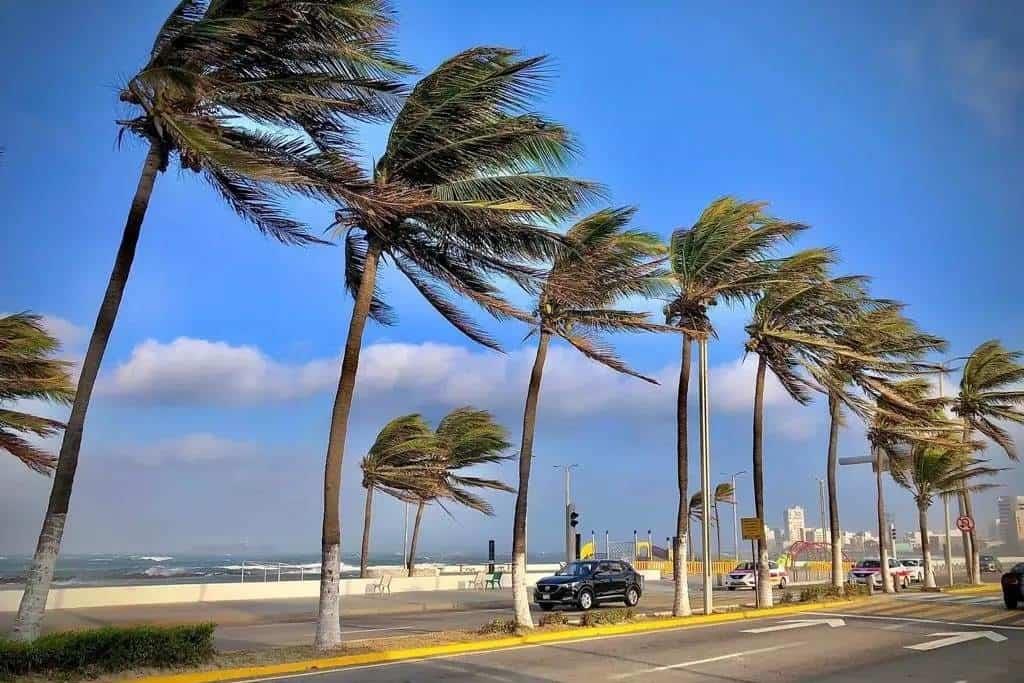 Ayuntamiento de Veracruz emite Aviso Especial por Frente Frío 25; prevén rachas de 80 Km/h