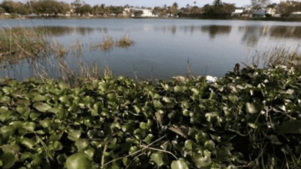 Proteger los humedales para nuestro futuro común