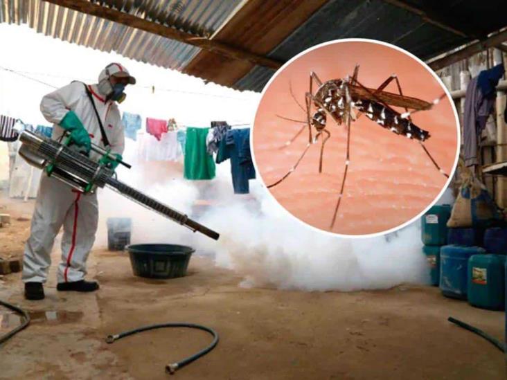 Veracruz, entre los estados con más casos de dengue en enero