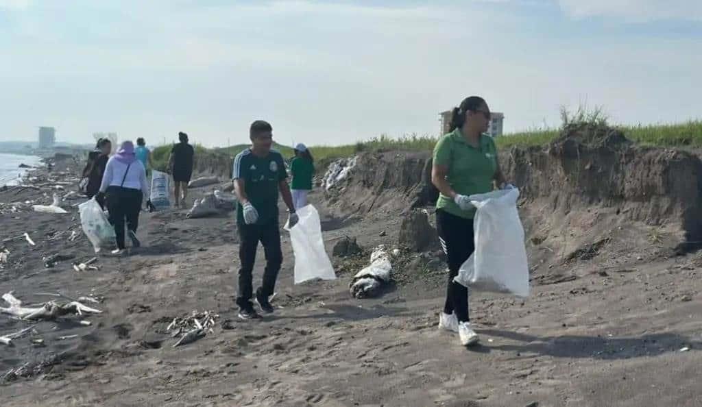 Cancelan limpieza de playa en la Riviera Veracruzana por el Frente Frío 25