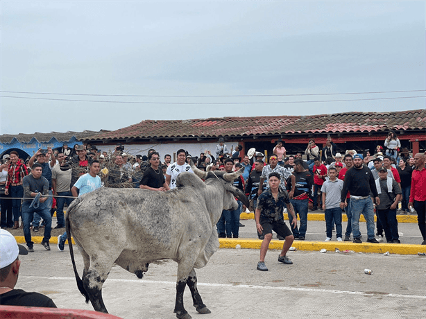 Fiestas de la Candelaria 2025: Saldo blanco en la suelta de toros en Tlacotalpan