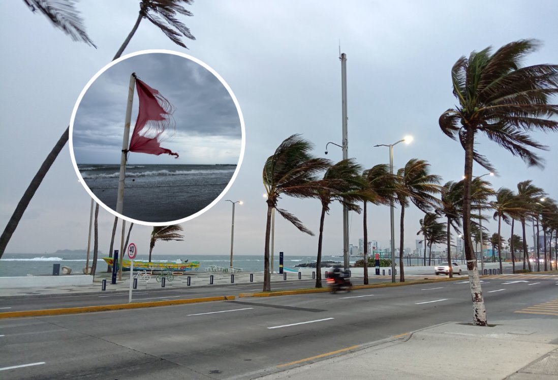 Norte en Veracruz: colocan banderas rojas en playas