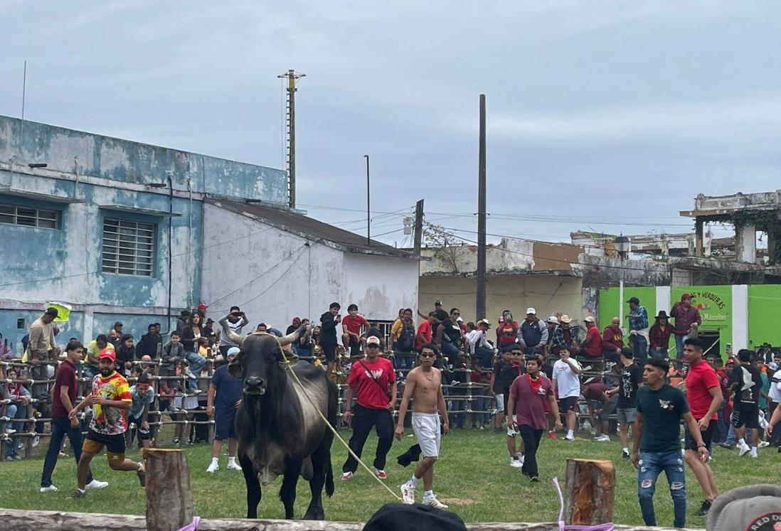 Realizan el tradicional embalse de toros en honor a la Virgen de la Candelaria en Tlacotalpan