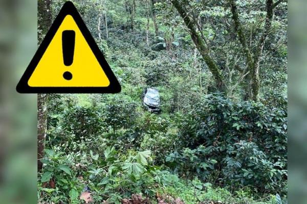 Auto cae en una finca de café en la Xalapa-Coatepec, ¿y los ocupantes?