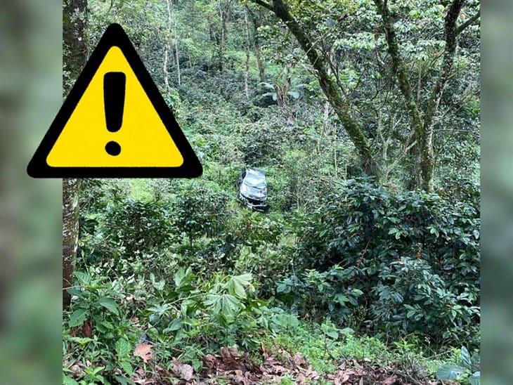 Auto cae en una finca de café en la Xalapa-Coatepec, ¿y los ocupantes?
