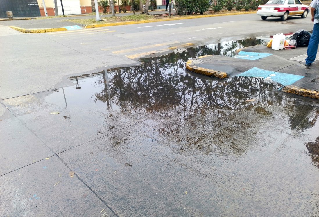 Vecinos denuncian acumulación de agua sucia en diferentes zonas de Veracruz