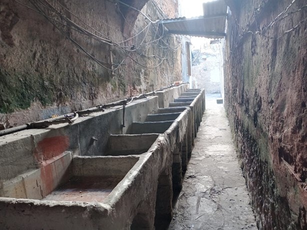 Tesoros ocultos en los patios de vecindad en el Centro Histórico de Veracruz