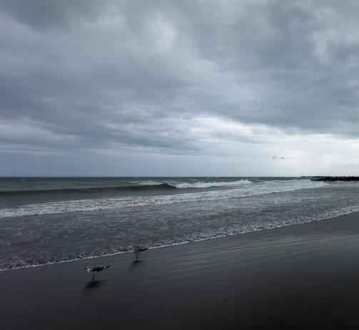 Así estará el clima en Veracruz HOY 04 de febrero