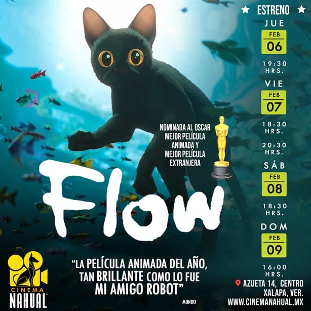 Presentarán película animada Flow en Xalapa: ¿cuándo y dónde? 