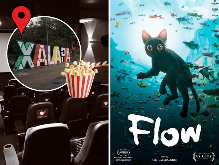 Presentarán película animada Flow en Xalapa: ¿cuándo y dónde? 