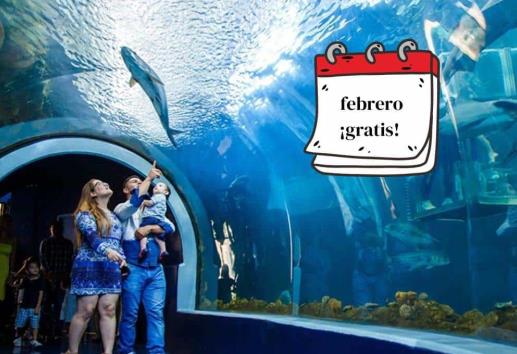 Aquarium de Veracruz: este es el próximo día de entrada gratis en febrero
