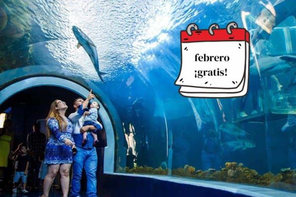 Aquarium de Veracruz: este es el próximo día de entrada gratis en febrero