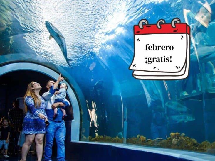 Aquarium de Veracruz: este es el próximo día de entrada gratis en febrero