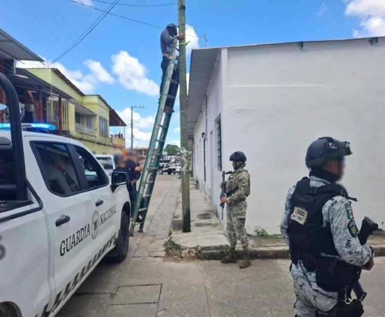 Gabinete de Seguridad federal confirma operativos y aseguran estupefacientes en Veracruz