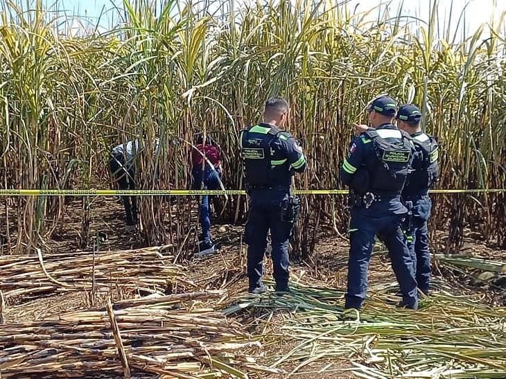 Localizan cráneo humano en cañales del camino Los Mangos-San Rafael Calería