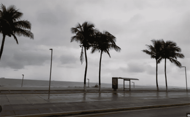 ¿Más lluvias en Veracruz?; en estas zonas lloverá hoy 5 de febrero