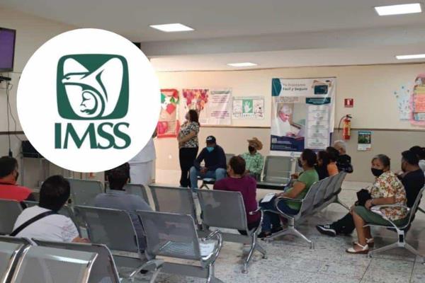 Lista de derechos a los que tienes acceso como derechohabiente del IMSS en Veracruz