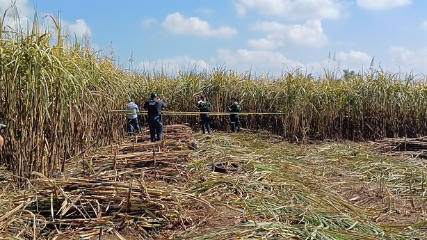 Localizan cráneo humano en cañales del camino Los Mangos-San Rafael Calería