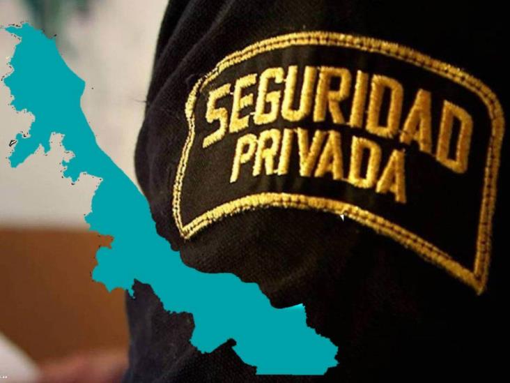 Sólo 11 de casi 100 empresas privadas de seguridad en Veracruz pueden portar armas