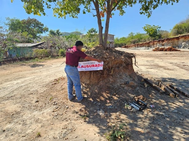 Van contra saqueo forestal en Veracruz; clausuran 13 aserraderos en el país