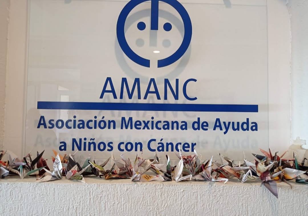 AMANC Veracruz necesita apoyo para reparar su albergue tras daños por lluvias