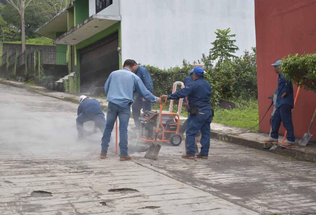 Programa Bachetón supera los mil hoyancos atendidos en Veracruz