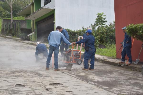 Programa Bachetón supera los mil hoyancos atendidos en Veracruz
