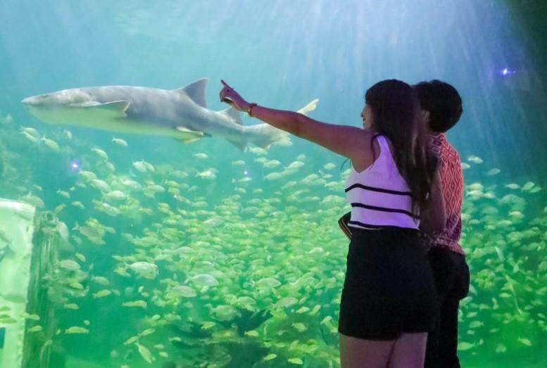 3 lugares de Veracruz donde le puedes pedir a la chica que te gusta que sea tu novia