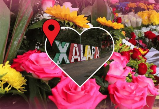 ¡Toma nota! aquí puedes comprar flores baratas en Xalapa para el 14 de febrero