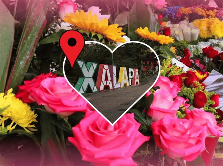 ¡Toma nota! aquí puedes comprar flores baratas en Xalapa para el 14 de febrero