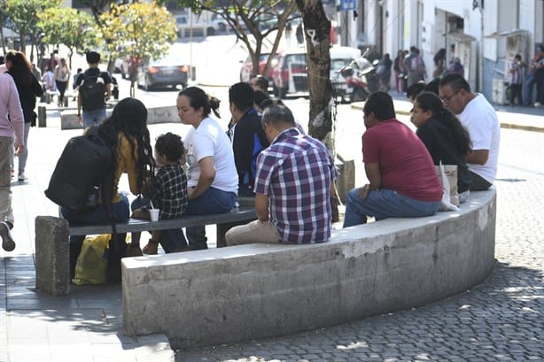 Clima en Xalapa: ¿cómo estará hoy sábado 8 de febrero?